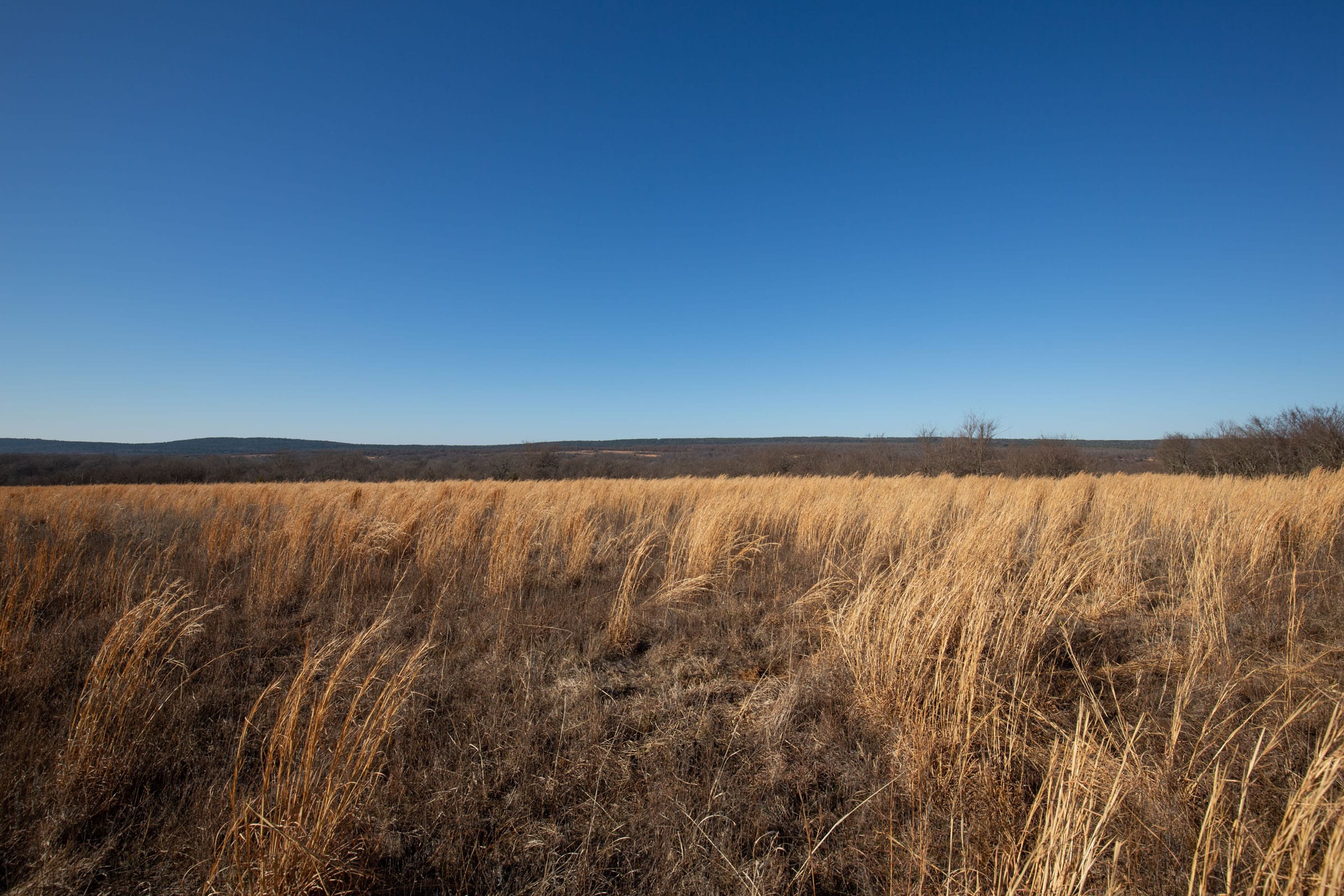 Painted Horse Tract 56 photo 15