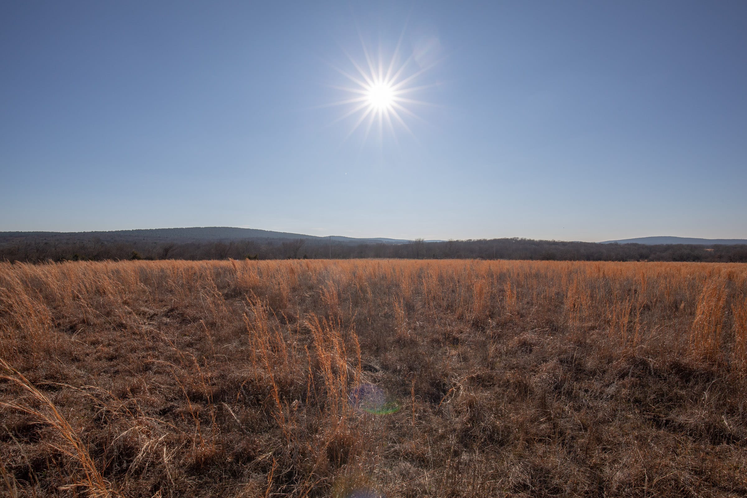 Painted Horse Tract 56 photo 16