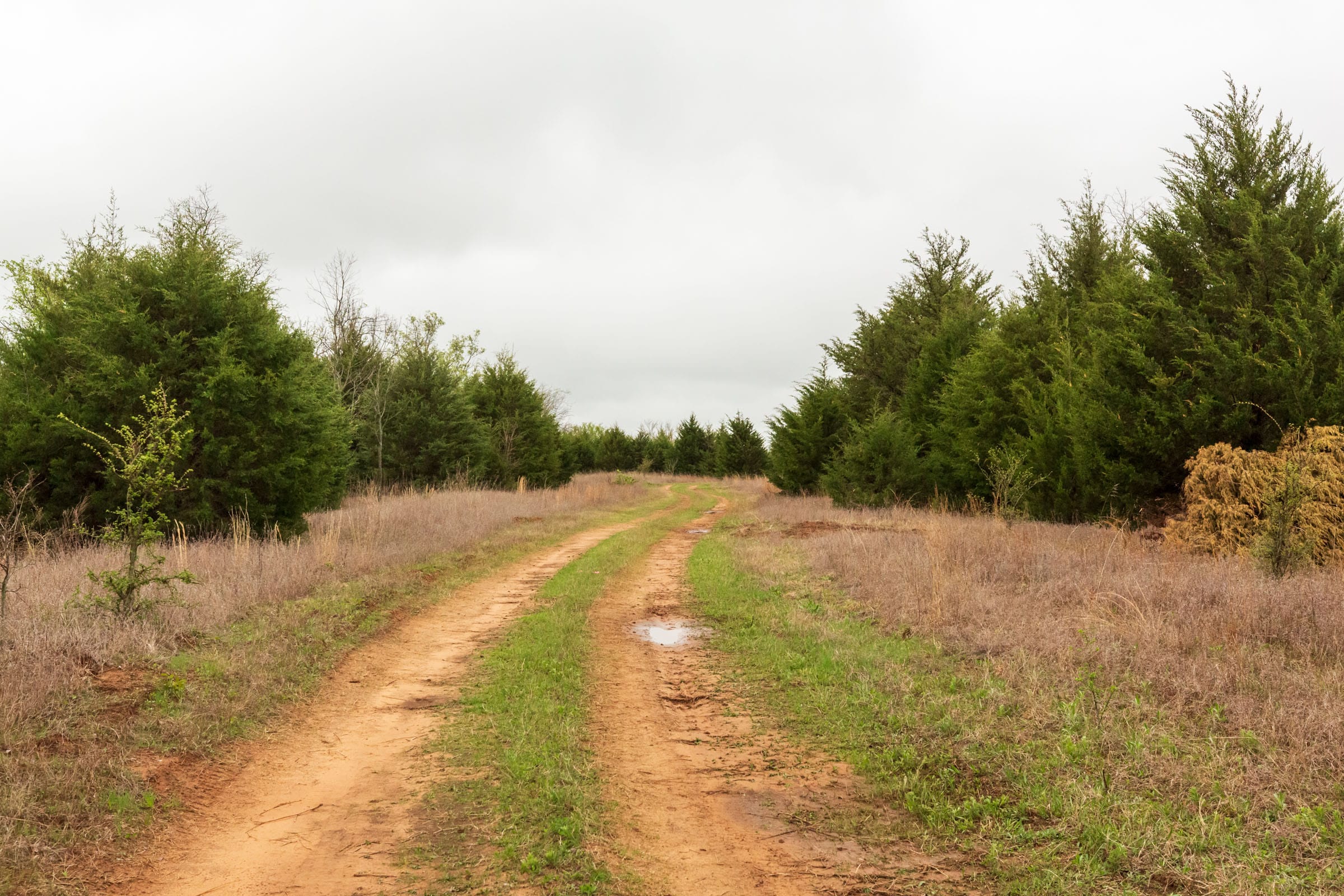 Moonrise Meadows Tract 4 photo 8