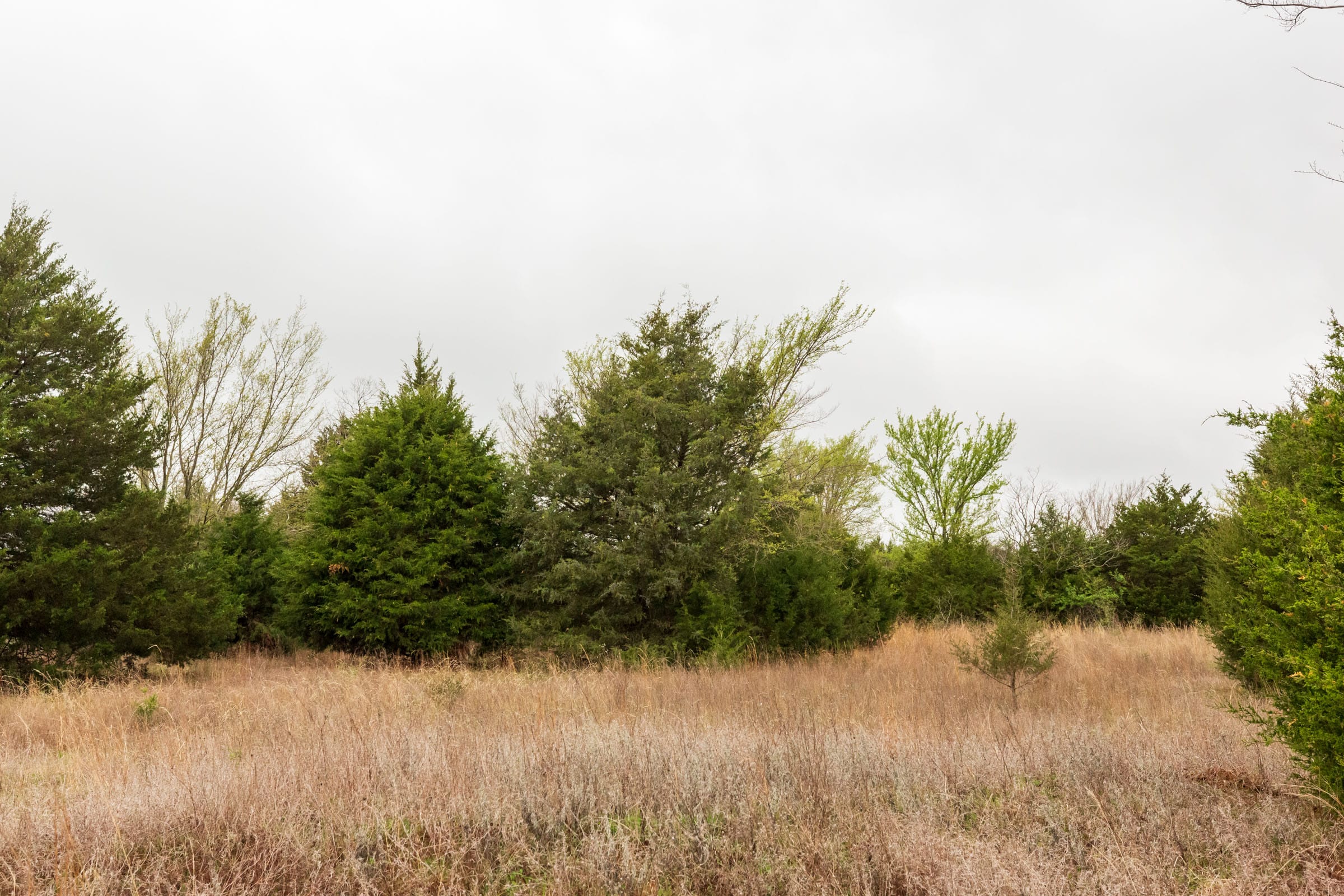 Moonrise Meadows Tract 4 photo 6