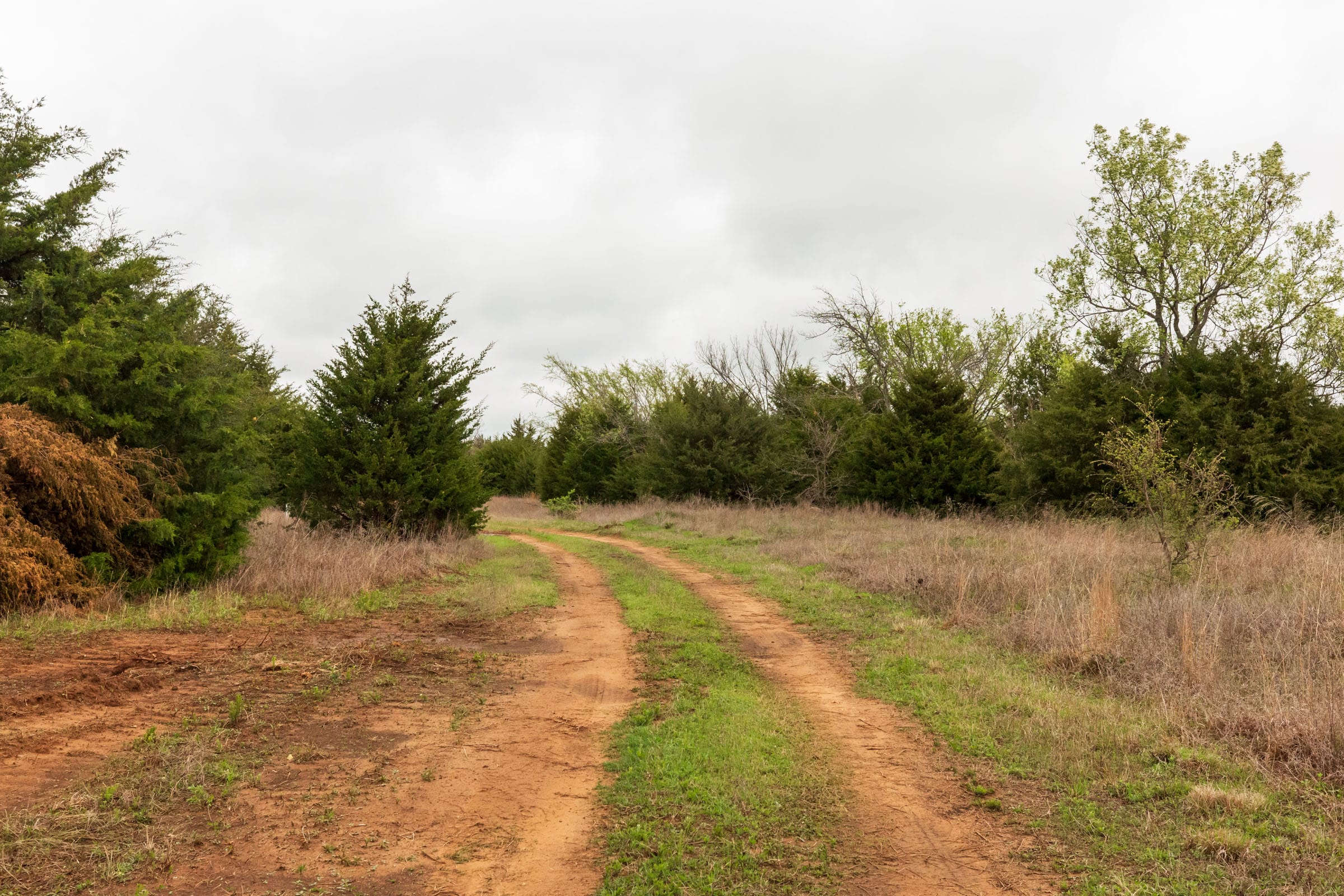 Moonrise Meadows Tract 4 photo 1