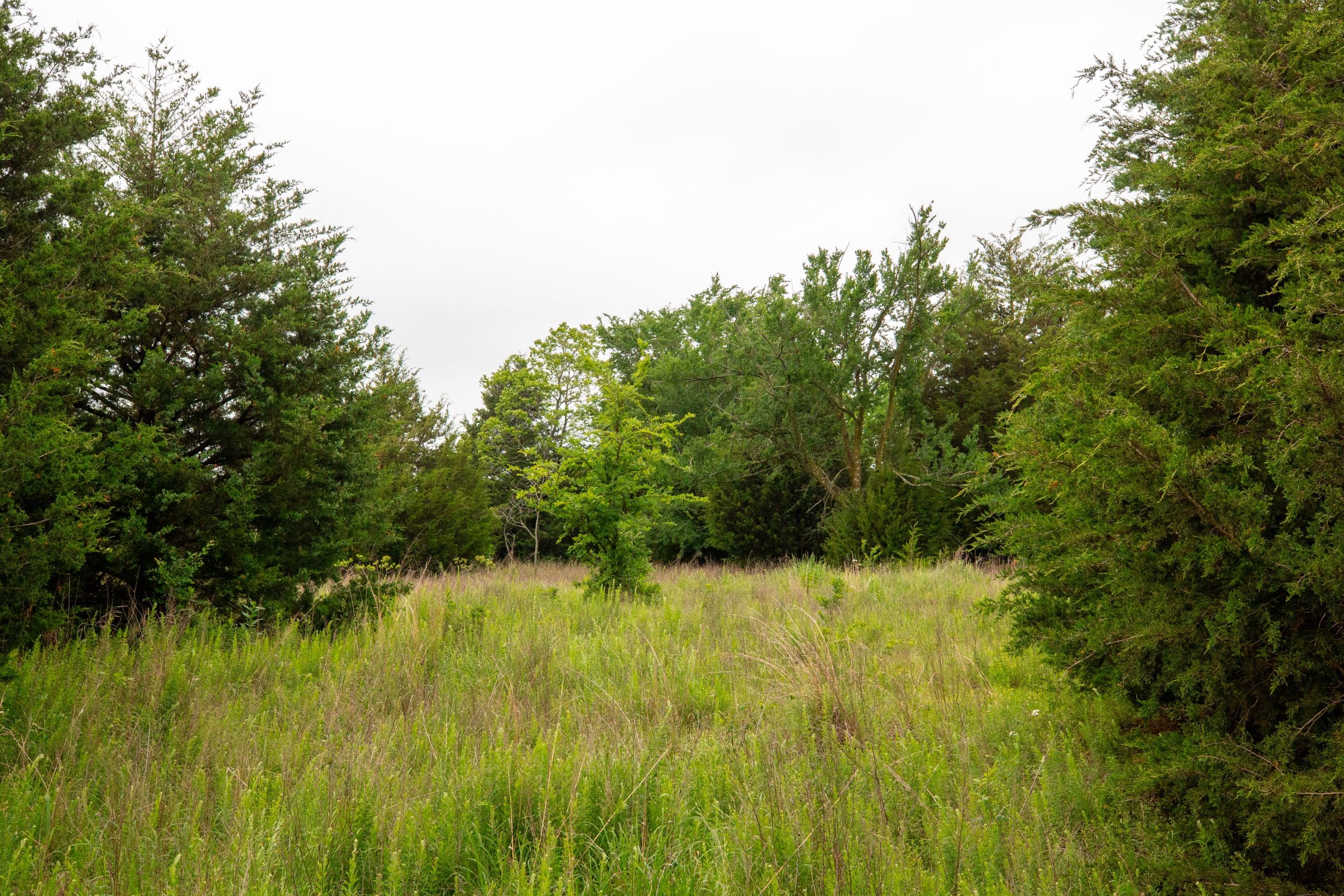 Moonrise Meadows Tract 4 photo 2