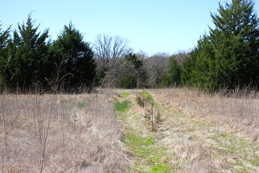 Montgomery Ranch Tract 10 photo 3