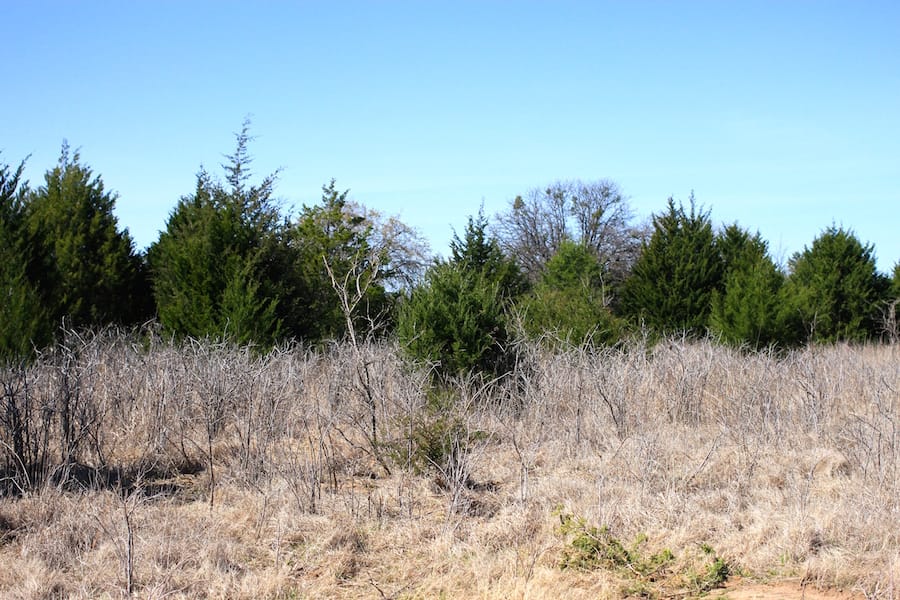 Montgomery Ranch Tract 10 photo 5
