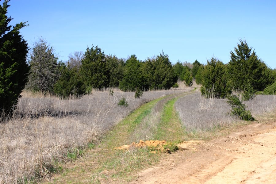Montgomery Ranch Tract 10 photo 6