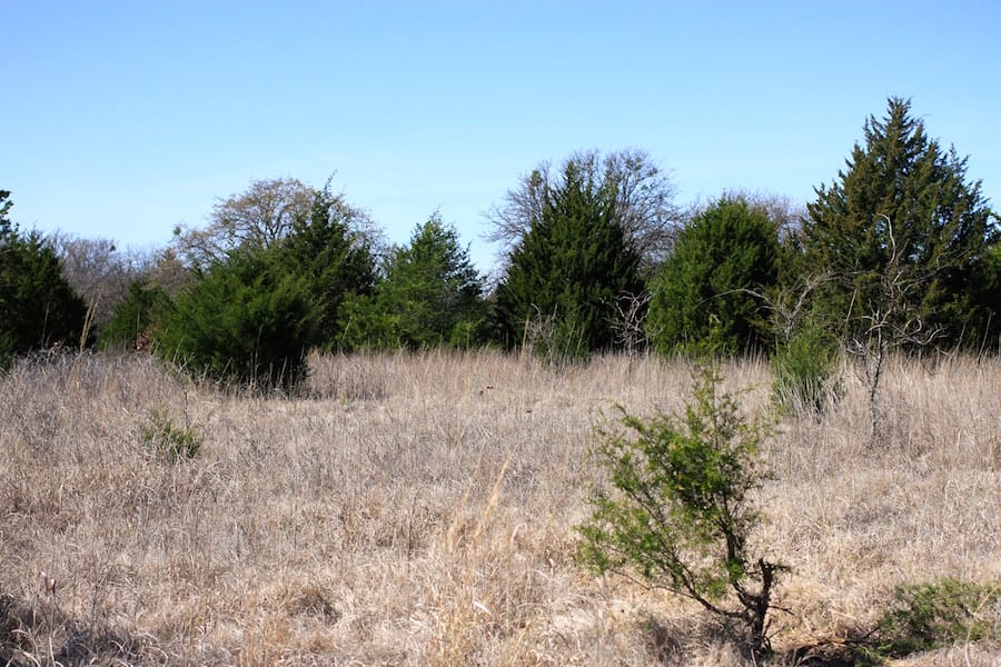 Montgomery Ranch Tract 10 photo 7