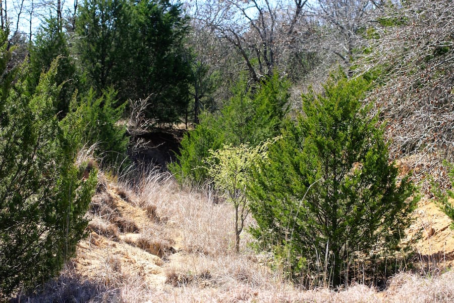 Montgomery Ranch Tract 10 photo 8