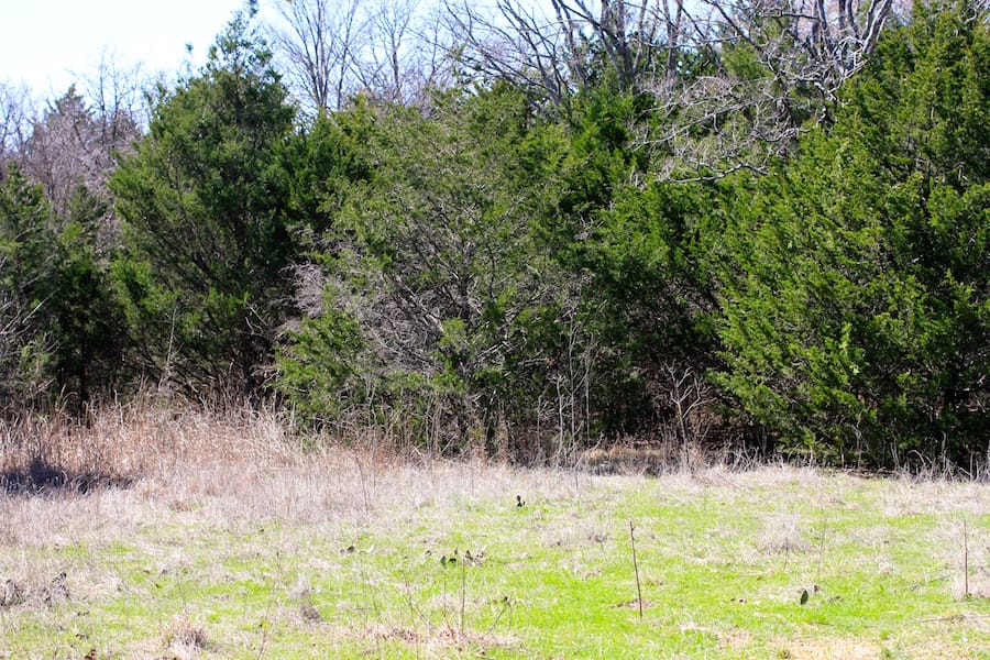Montgomery Ranch Tract 10 photo 10