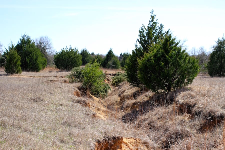 Montgomery Ranch Tract 10 photo 11