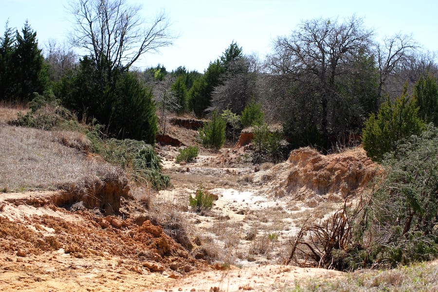 Montgomery Ranch Tract 10 photo 13