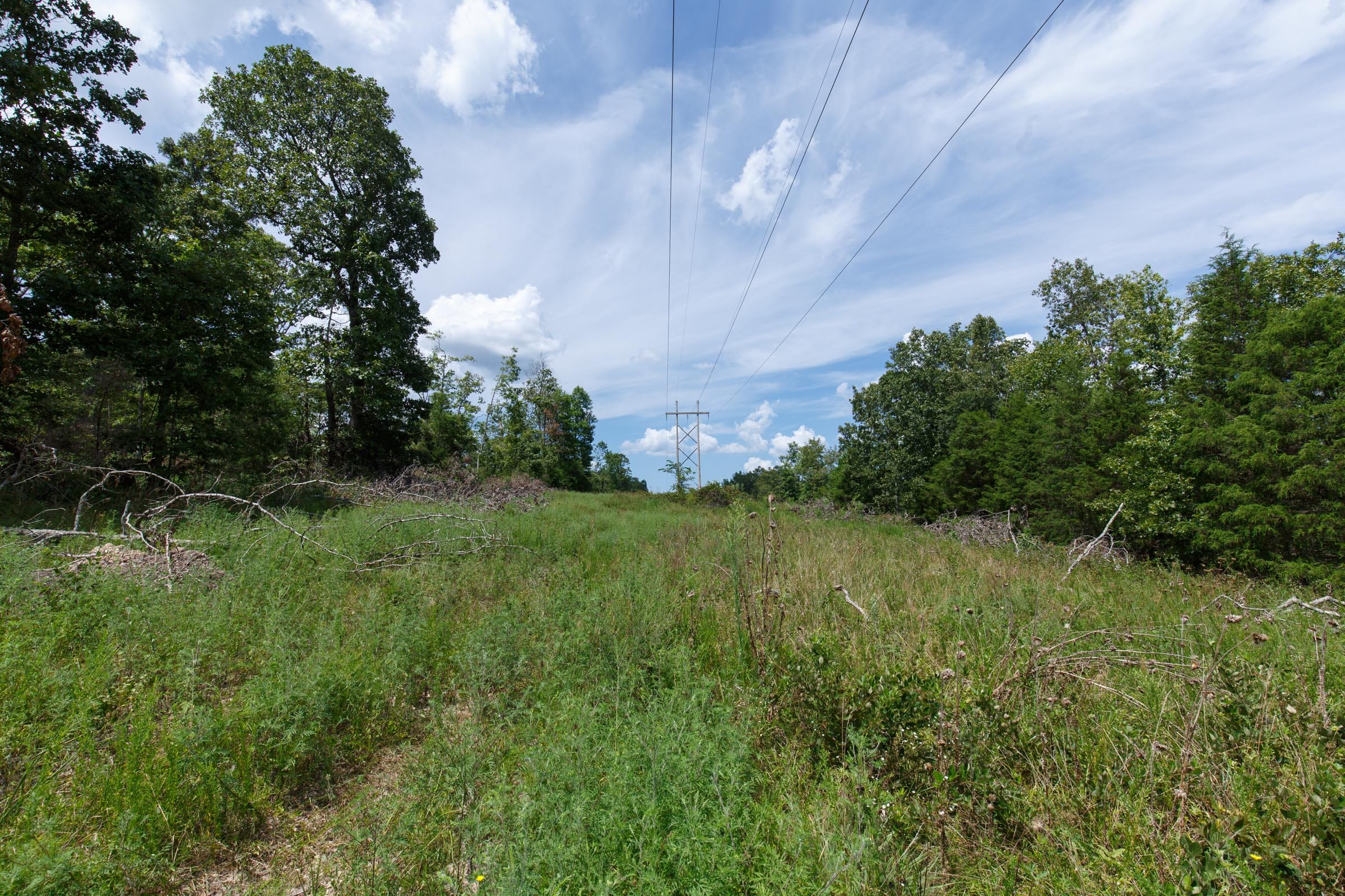Wildwood Tract 12 photo 2