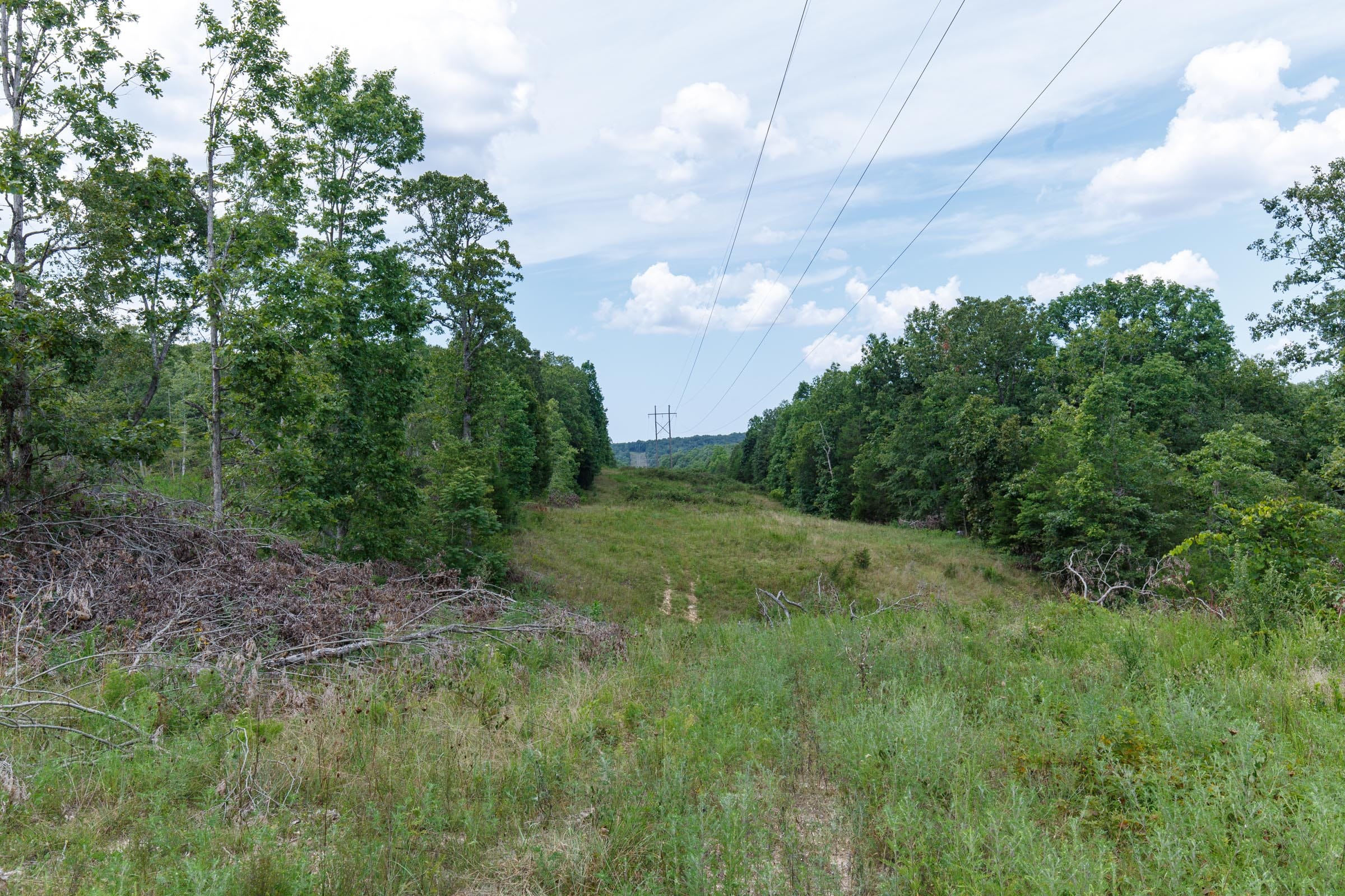 Wildwood Tract 12 photo 6