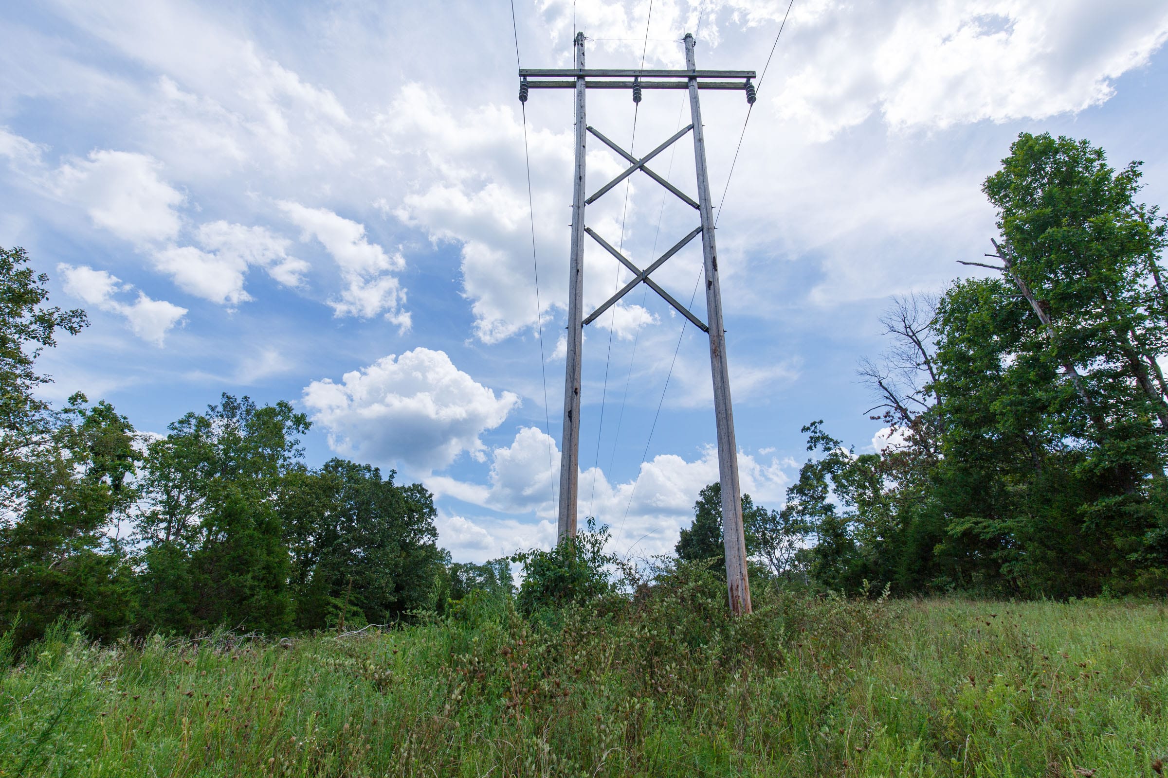 Wildwood Tract 12 photo 7