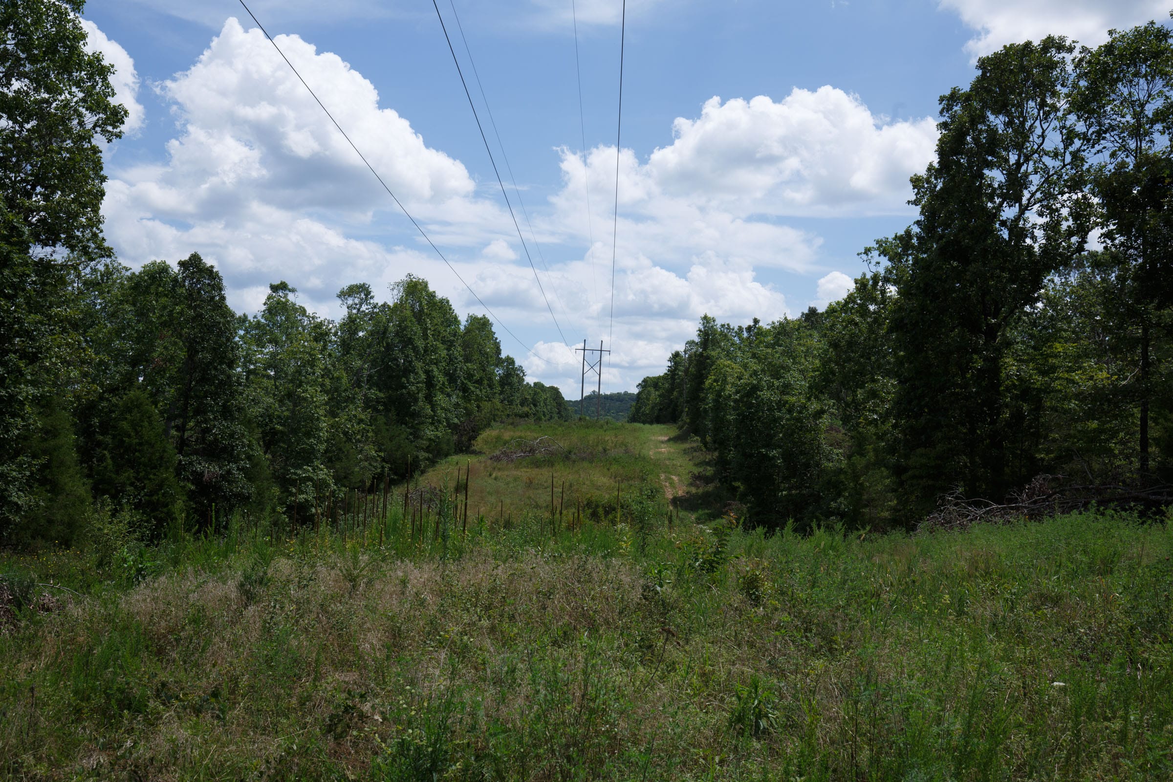 Wildwood Tract 12 photo 10