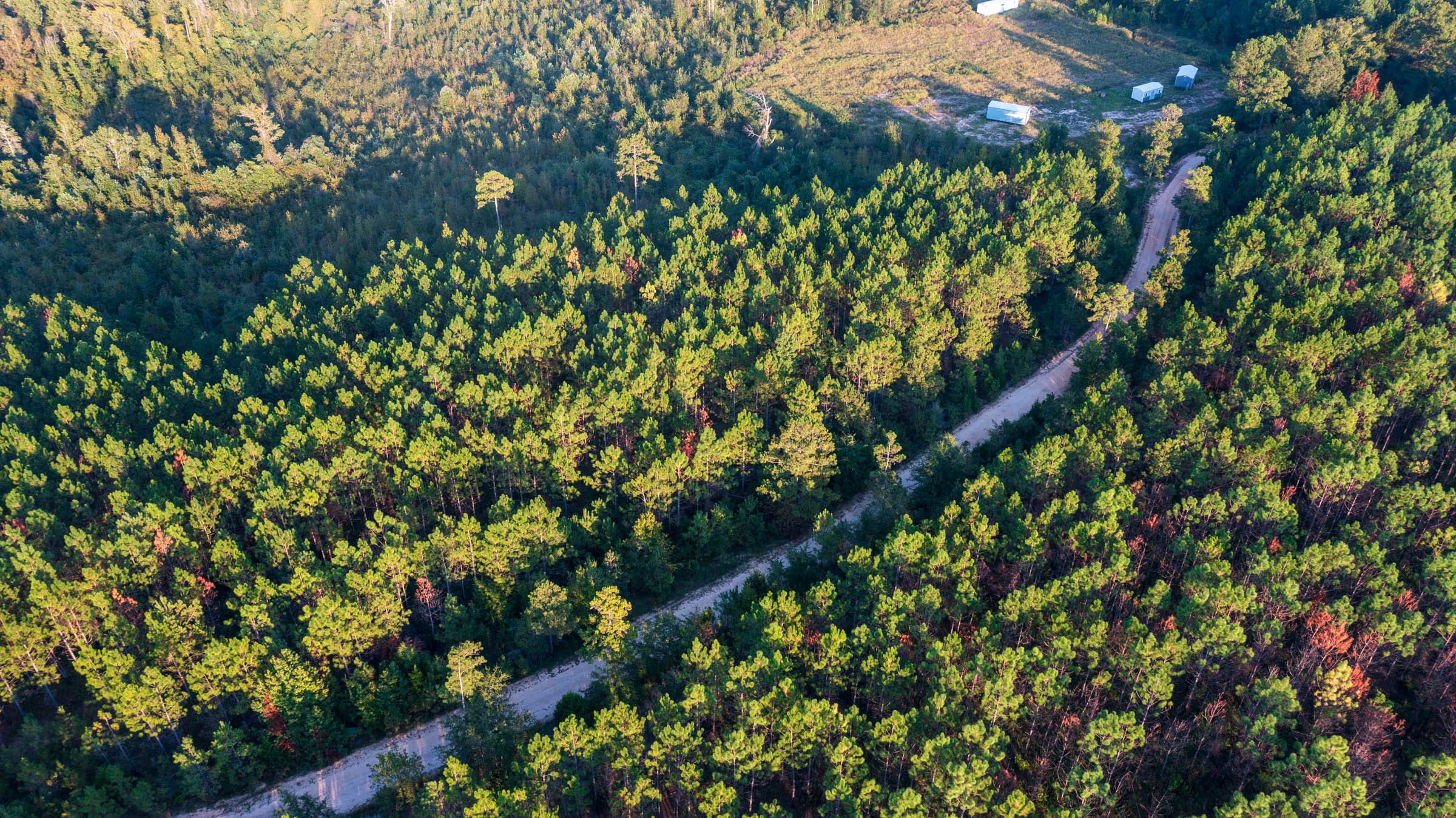 Jackson’s Gap Tract 1 photo 10