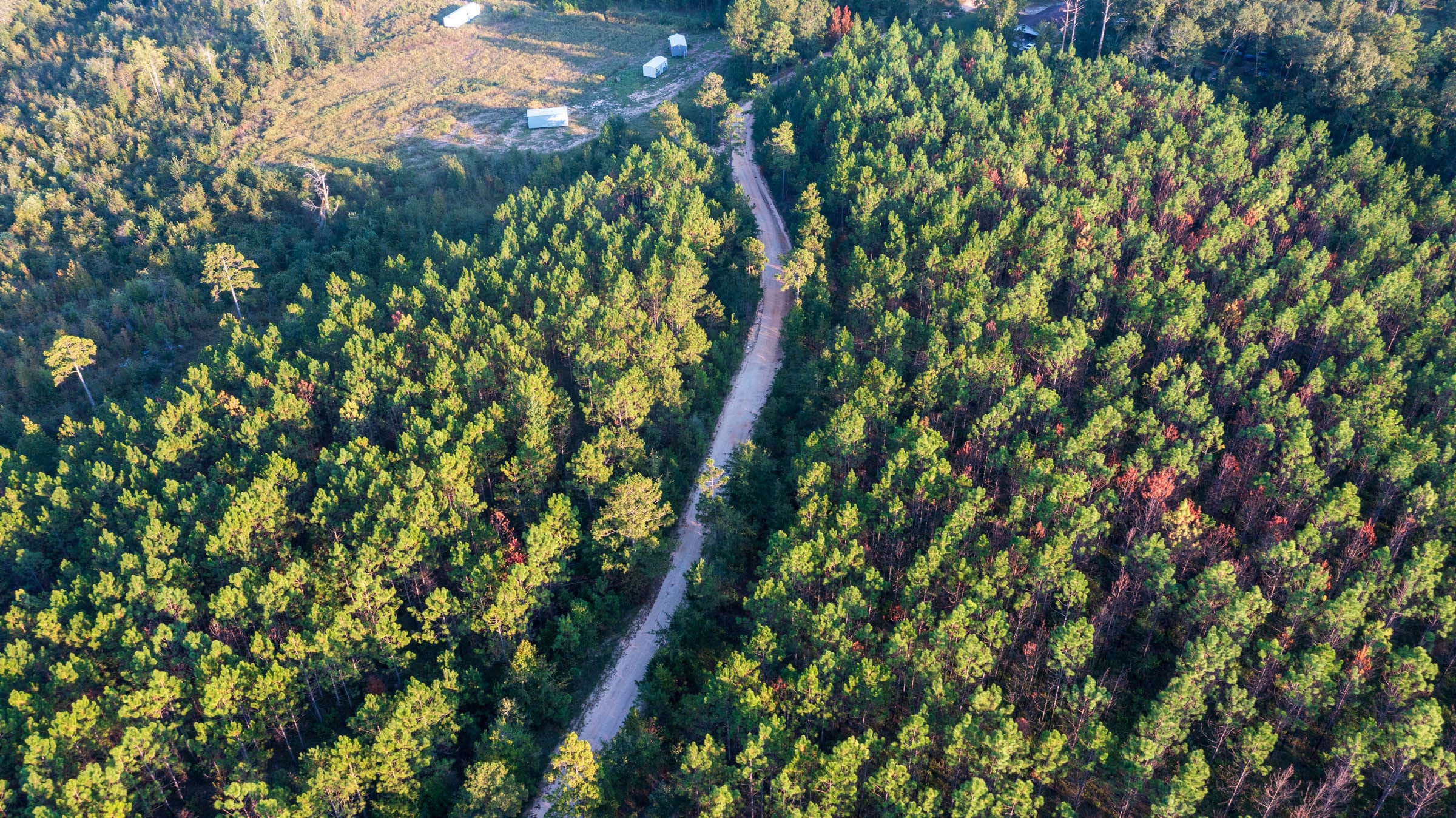 Jackson’s Gap Tract 1 photo 3