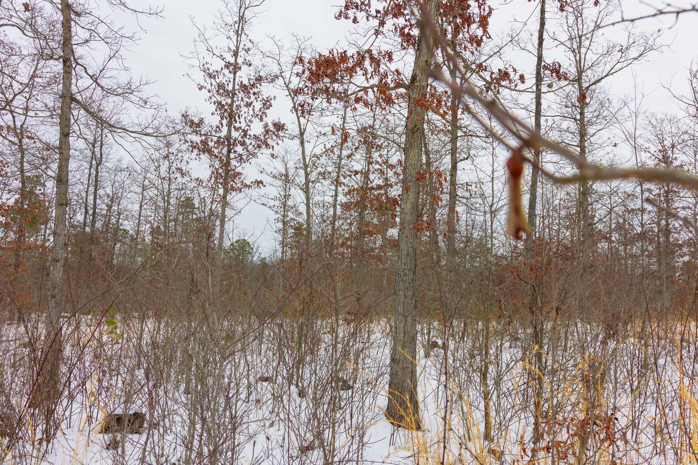 Sleepy Hollow Phase I Tract 10 photo 7