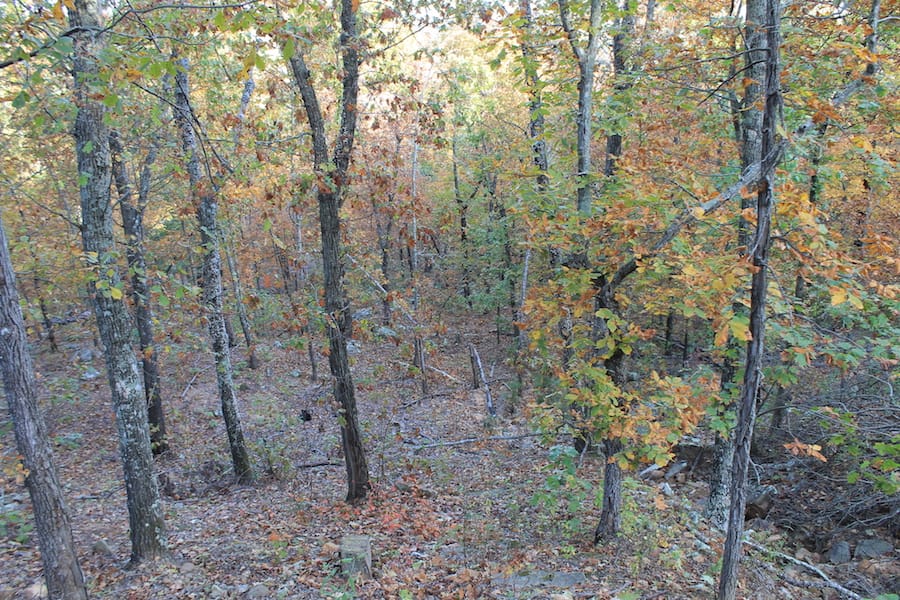 Indian Ridge – Phase III Tract 88 photo 3