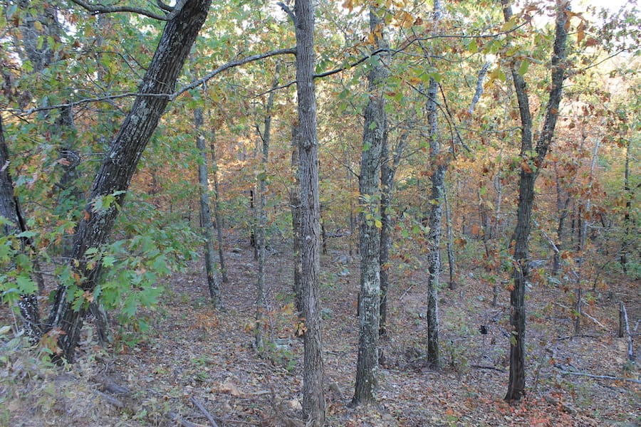 Indian Ridge – Phase III Tract 88 photo 4