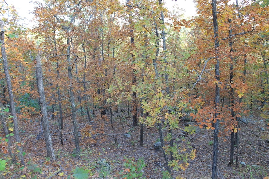 Indian Ridge – Phase III Tract 88 photo 5