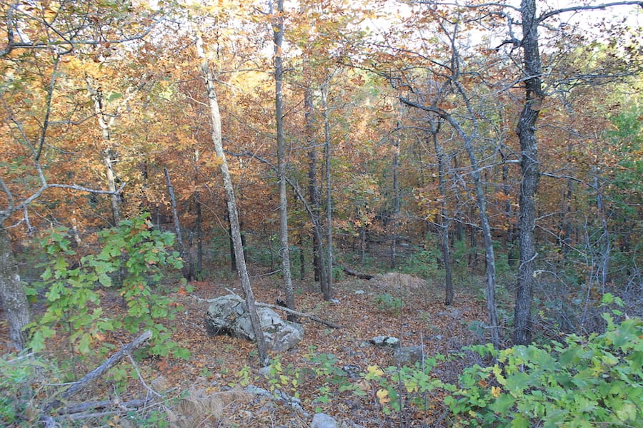 Indian Ridge – Phase III Tract 88 photo 7