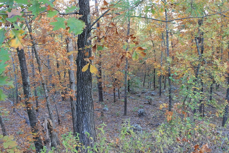 Indian Ridge – Phase III Tract 88 photo 8