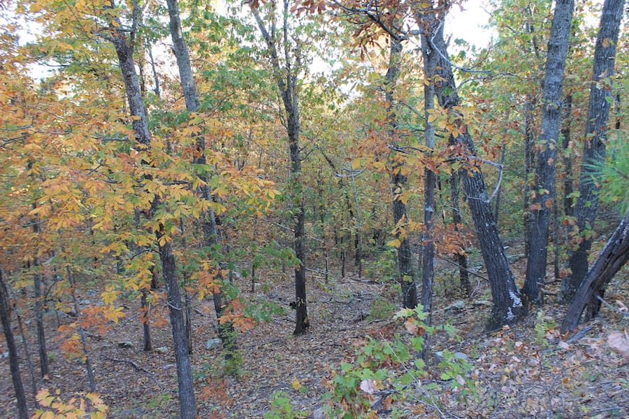 Indian Ridge – Phase III Tract 88 photo 10