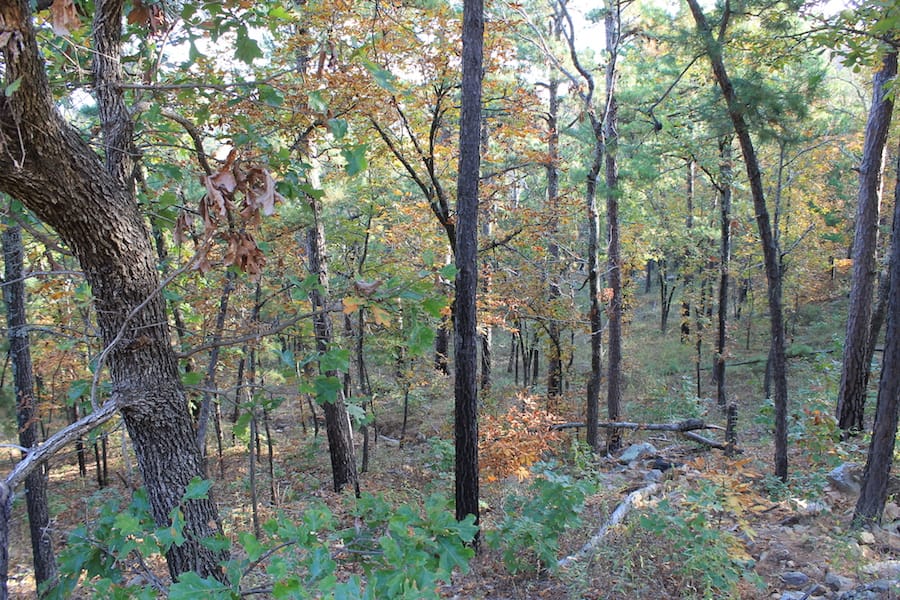 Indian Ridge – Phase III Tract 88 photo 11