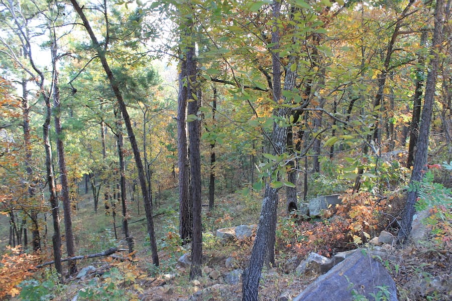 Indian Ridge – Phase III Tract 88 photo 12