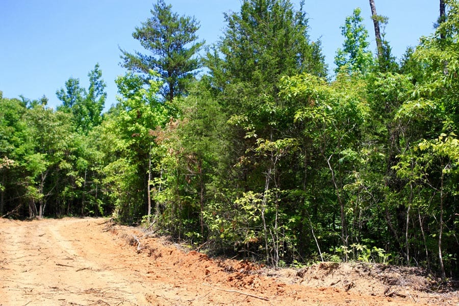 Hickory Hill Ranch Tract 9 photo 7