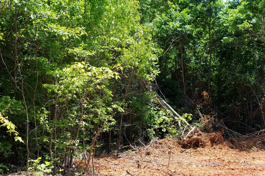 Hickory Hill Ranch Tract 9 photo 9