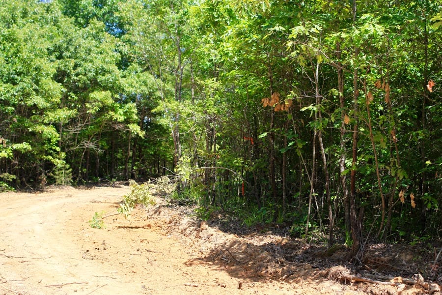 Hickory Hill Ranch Tract 9 photo 5