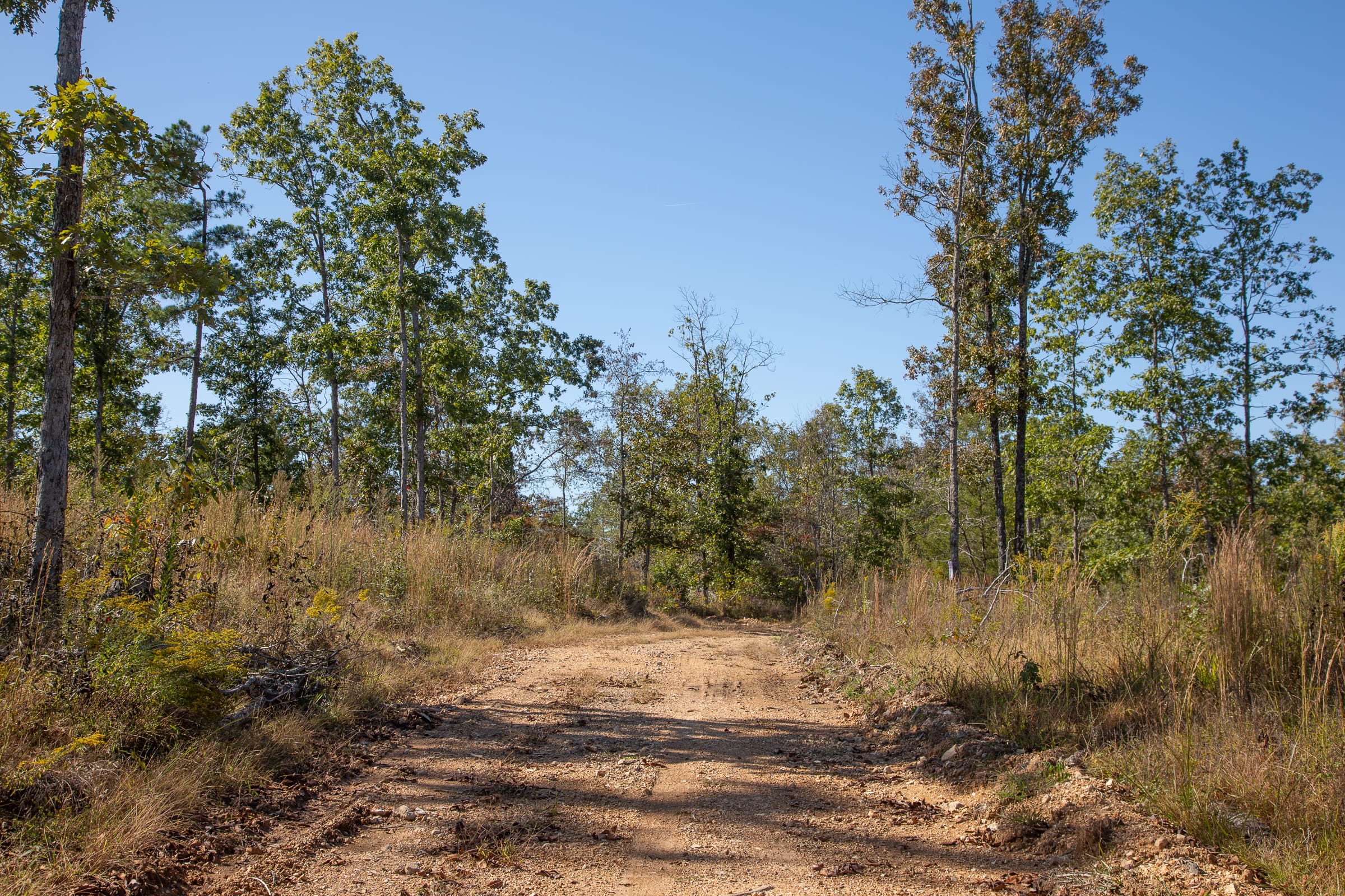 Borgmann’s Hollow Phase IV Tract 106 photo 2