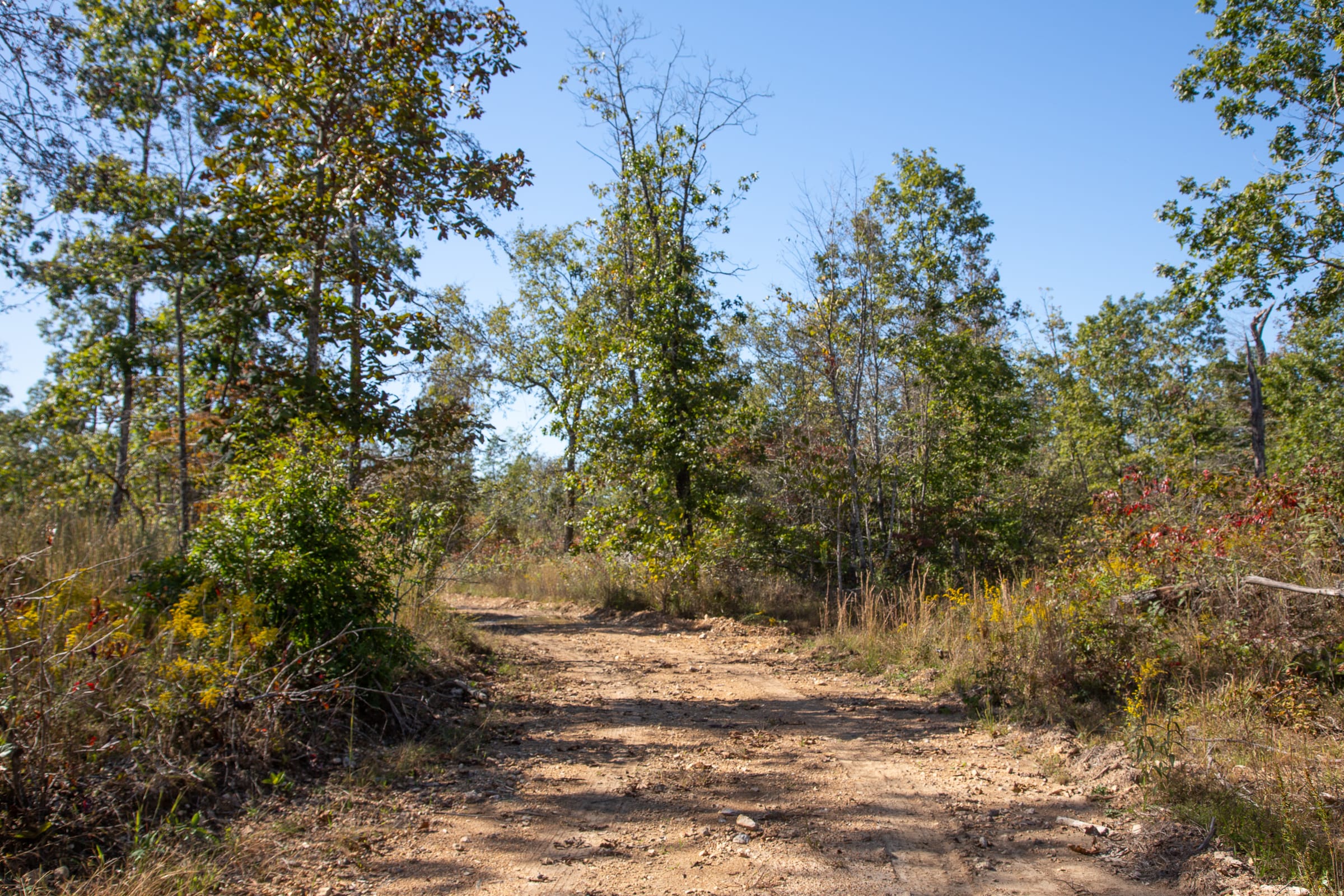 Borgmann’s Hollow Phase IV Tract 106 photo 6