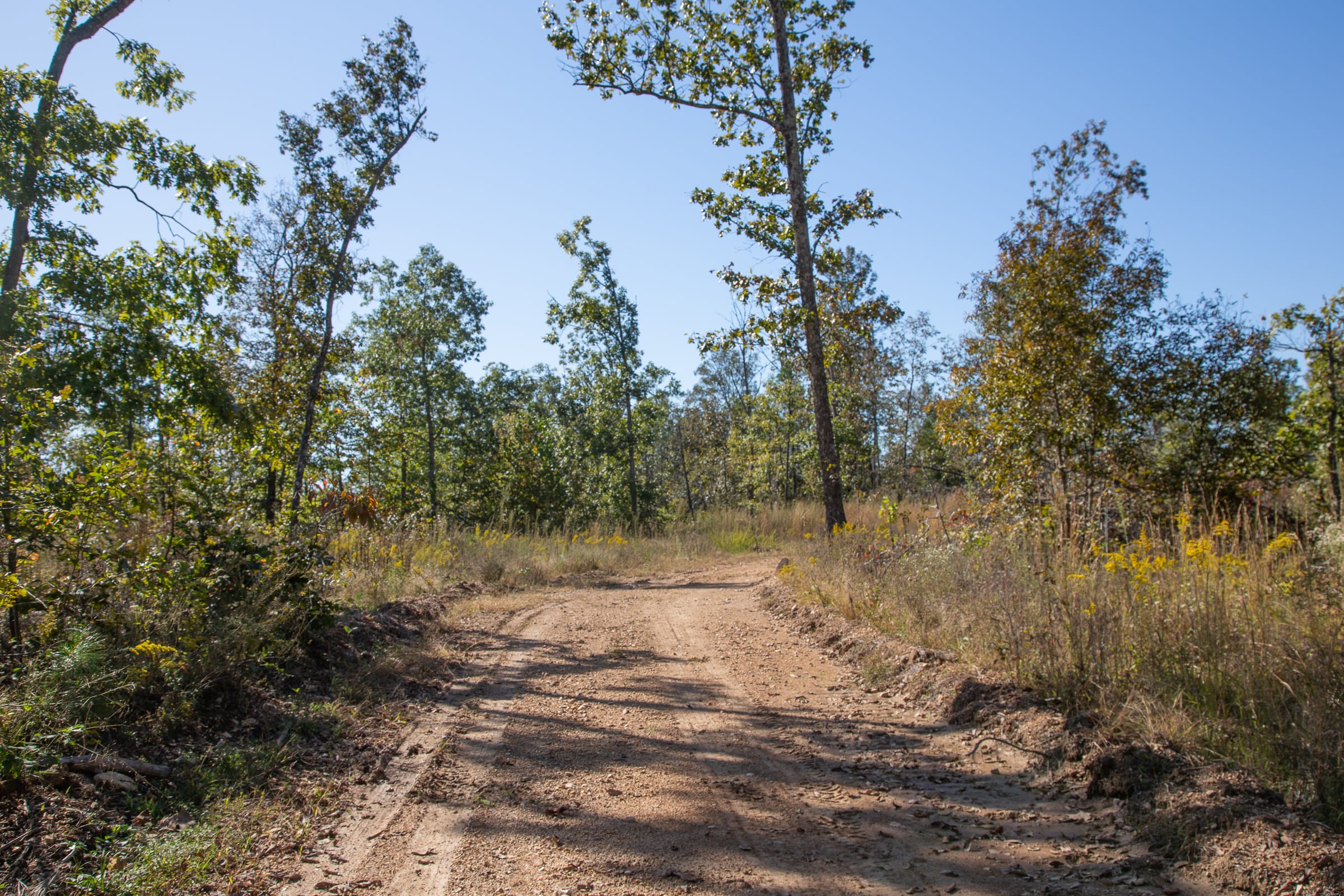 Borgmann’s Hollow Phase IV Tract 106 photo 9