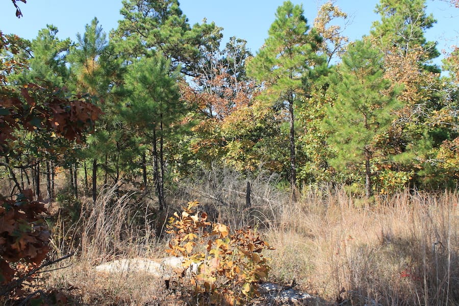Indian Ridge – Phase III Tract 112 photo 3