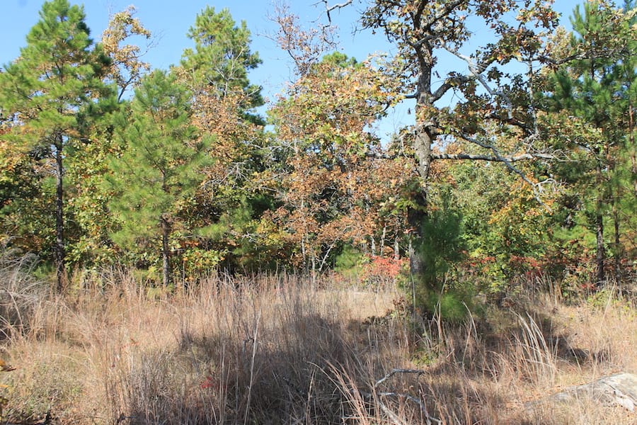 Indian Ridge – Phase III Tract 112 photo 4