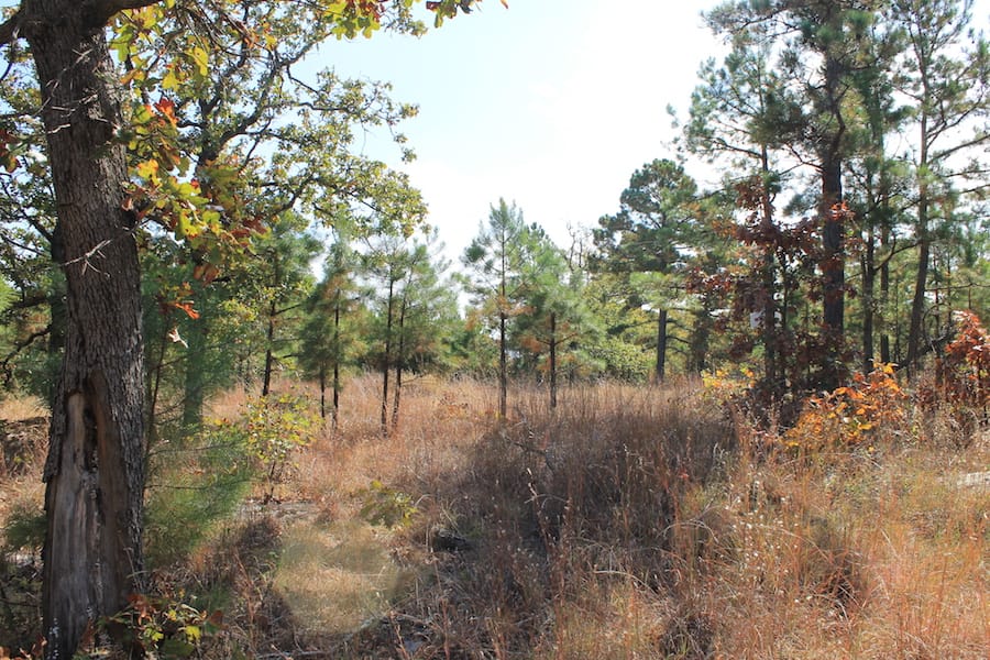 Indian Ridge – Phase III Tract 112 photo 7