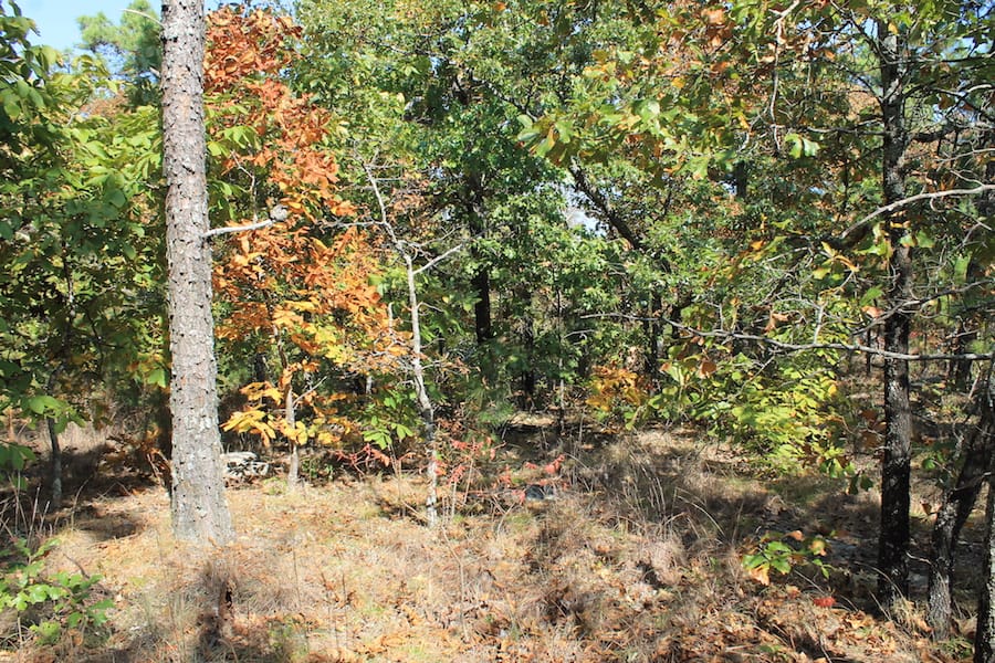 Indian Ridge – Phase III Tract 112 photo 10
