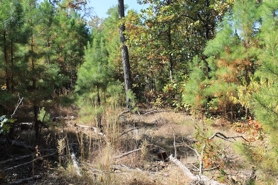 Indian Ridge – Phase III Tract 112 photo 12