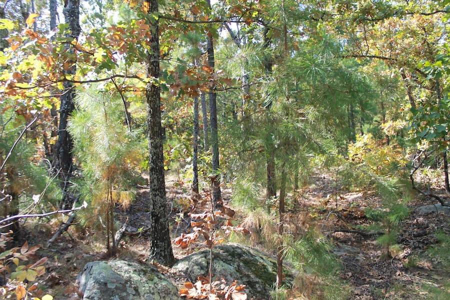 Indian Ridge – Phase III Tract 112 photo 13