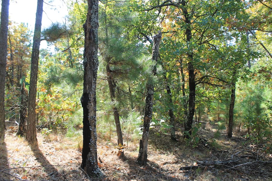 Indian Ridge – Phase III Tract 112 photo 14