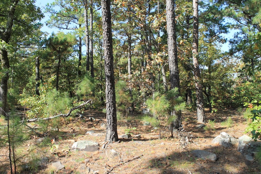 Indian Ridge – Phase III Tract 112 photo 15