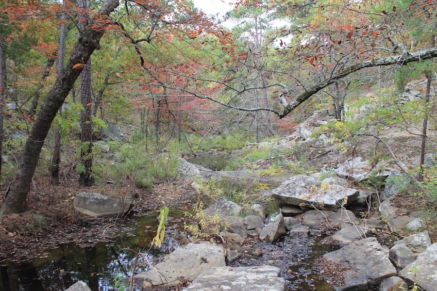 Indian Ridge – Phase III Tract 112 photo 17
