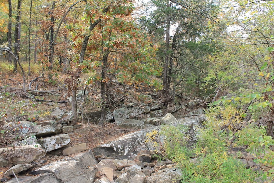 Indian Ridge – Phase III Tract 112 photo 19