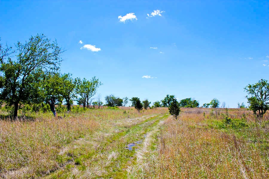 Saddlebrook Ranch Tract 2 photo 4