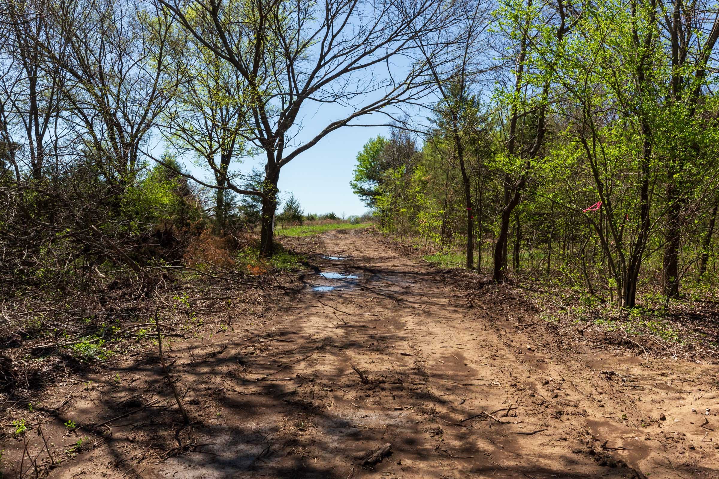 Prairie Grove Tract 17 photo 10