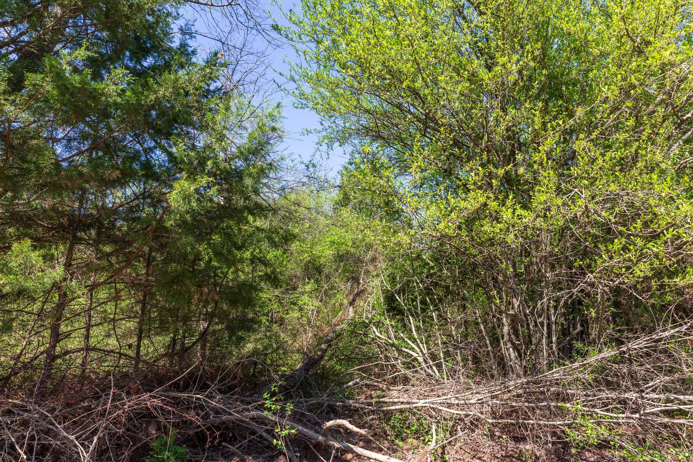 Prairie Grove Tract 17 photo 7