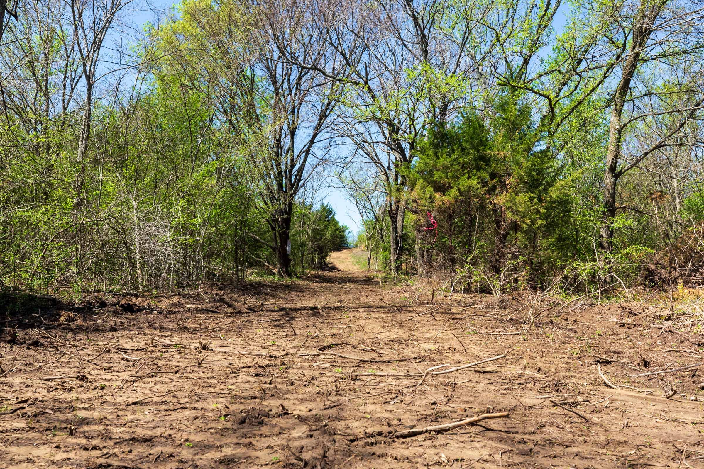 Prairie Grove Tract 17 photo 1