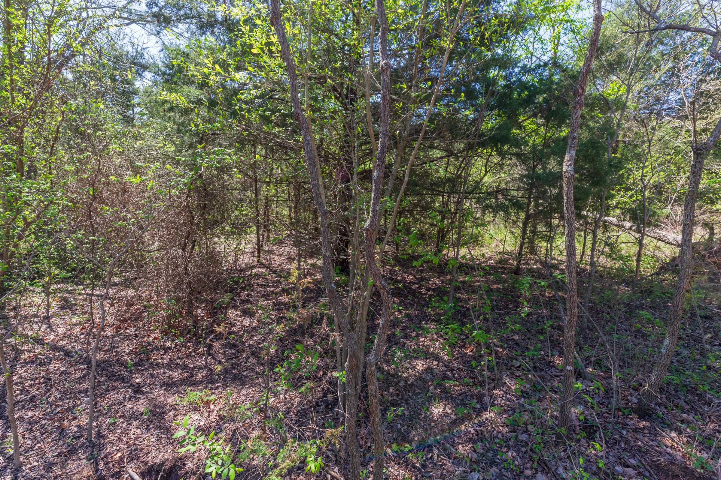 Prairie Grove Tract 17 photo 11